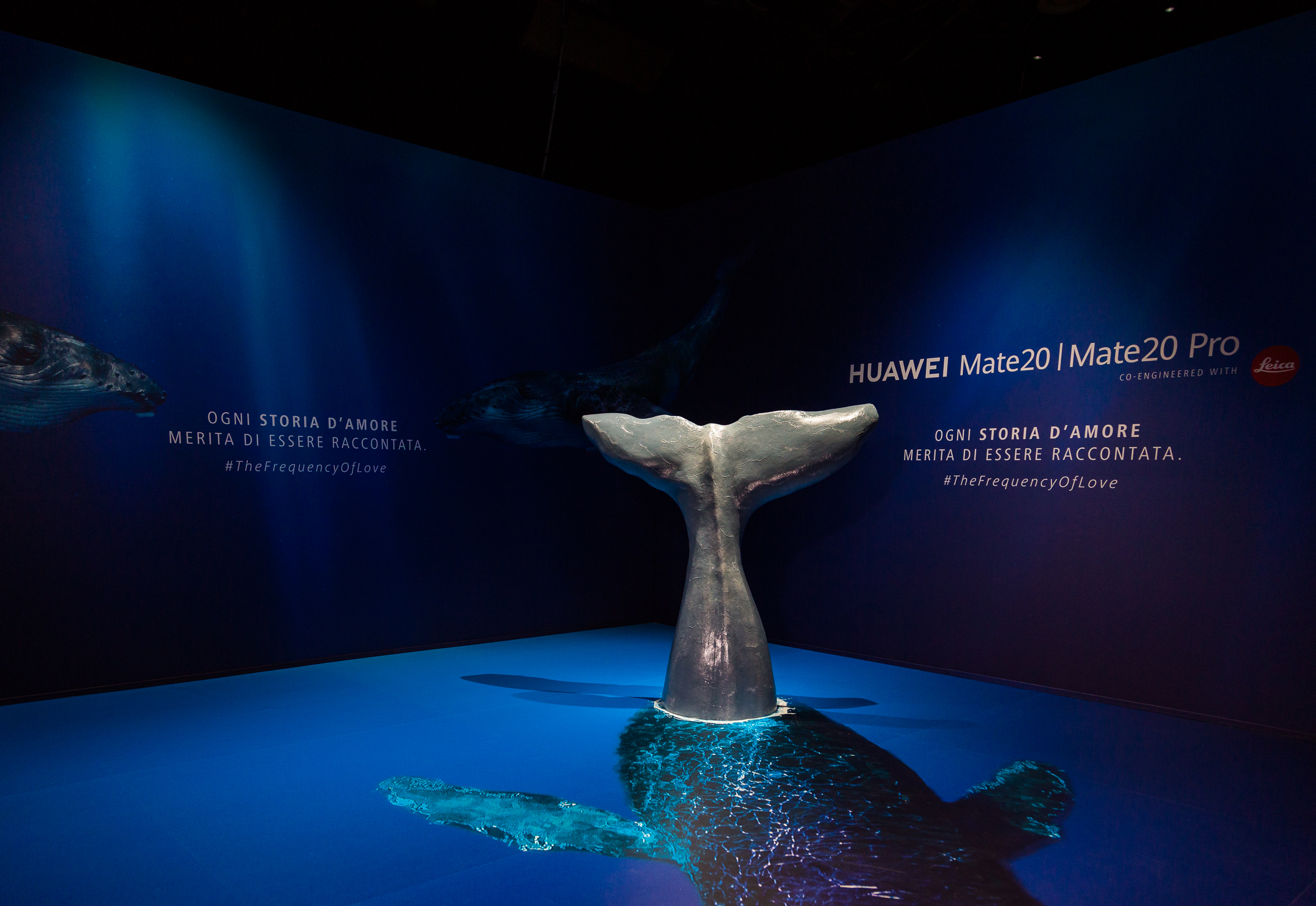 The frequency of love