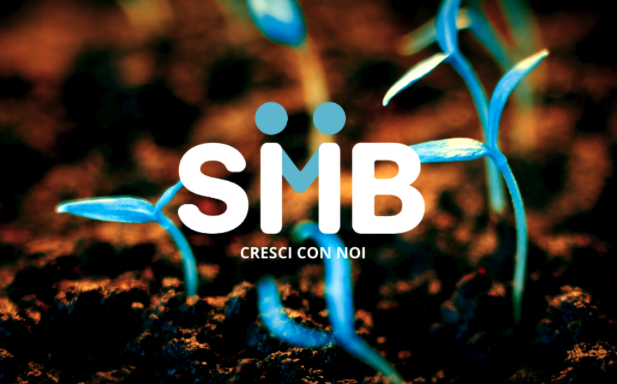 SMB Commercial Division: The Team